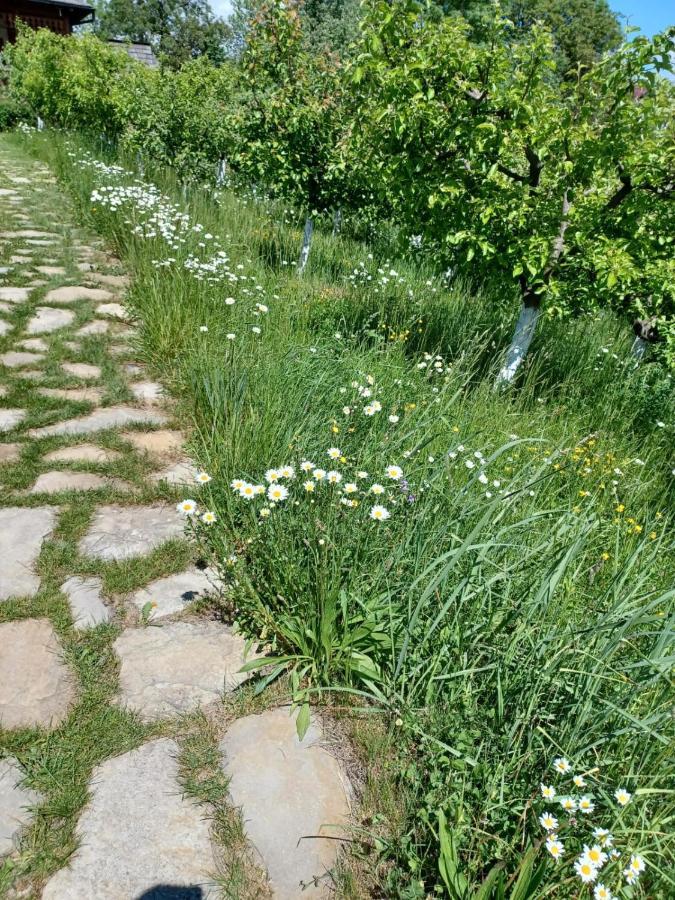 Pensiunea Agroturistica Casa Jucan Poieni Екстериор снимка
