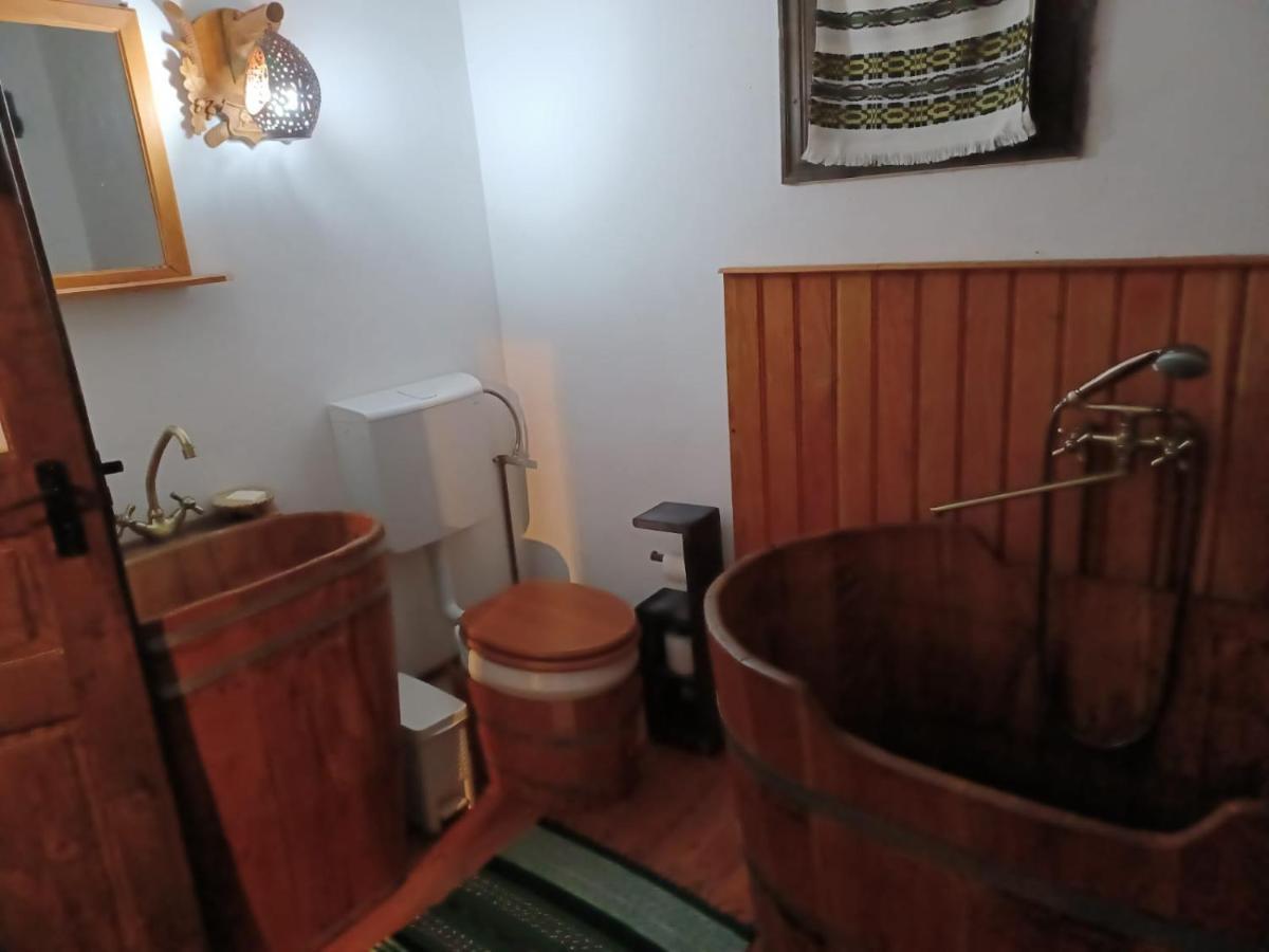 Pensiunea Agroturistica Casa Jucan Poieni Екстериор снимка